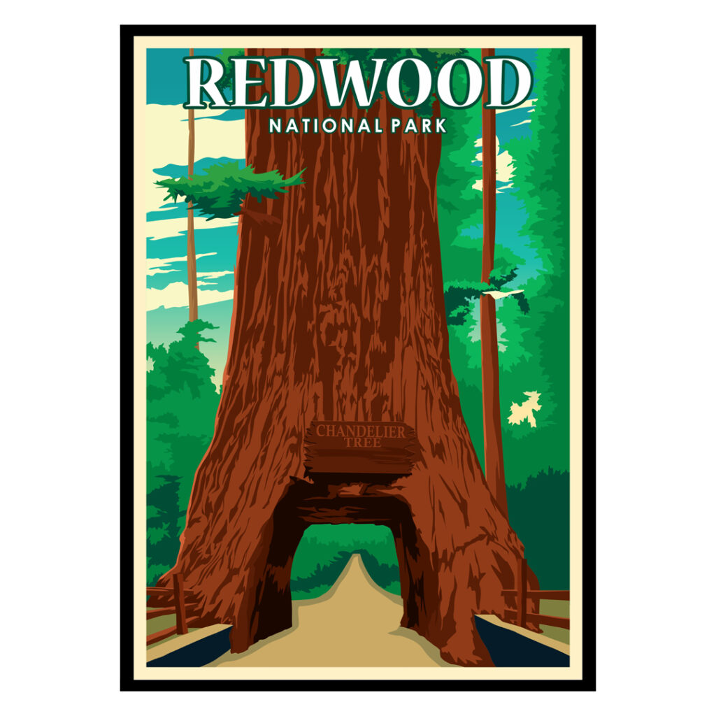 Redwood National Park USA Poster | Buy Posters & Art Prints At ...