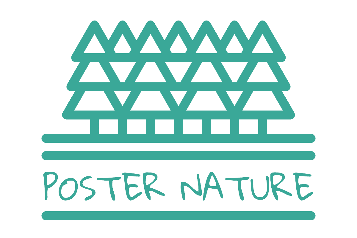 Poster Nature