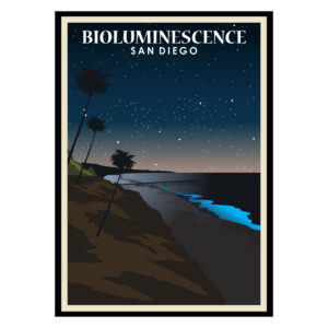 Bioluminescence San Diego USA Poster