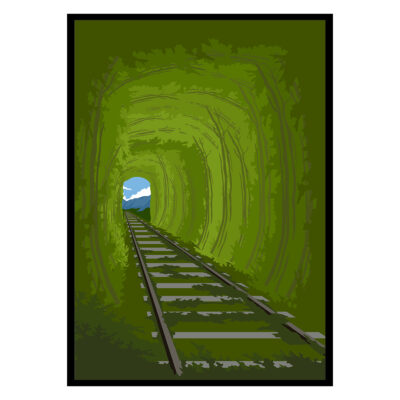 Railroad Track Nature Poster