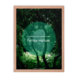 Wooden frame (inches)