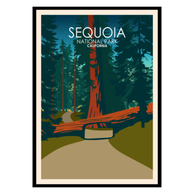 Sequoia National Park USA Poster