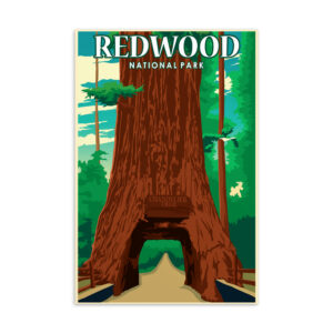 Redwood Postcard