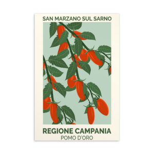 San Marzano Tomato Postcard