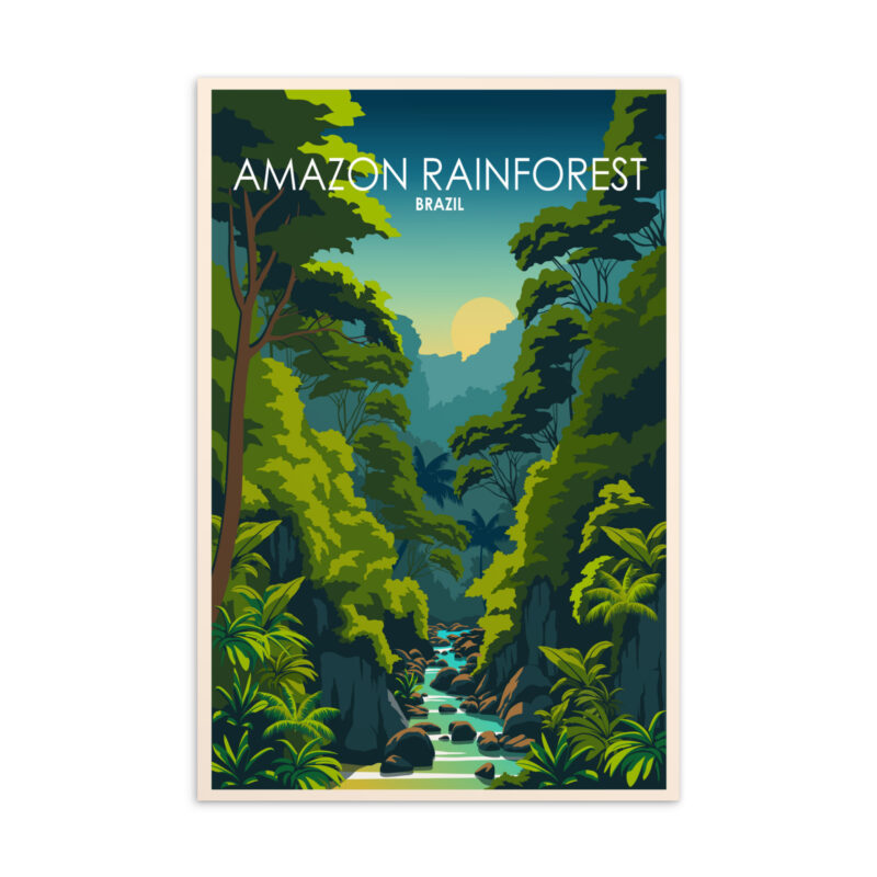 Amazon Rainforest Postcard