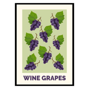 Wine Grapes Poster