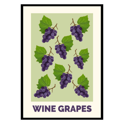 Wine Grapes Poster